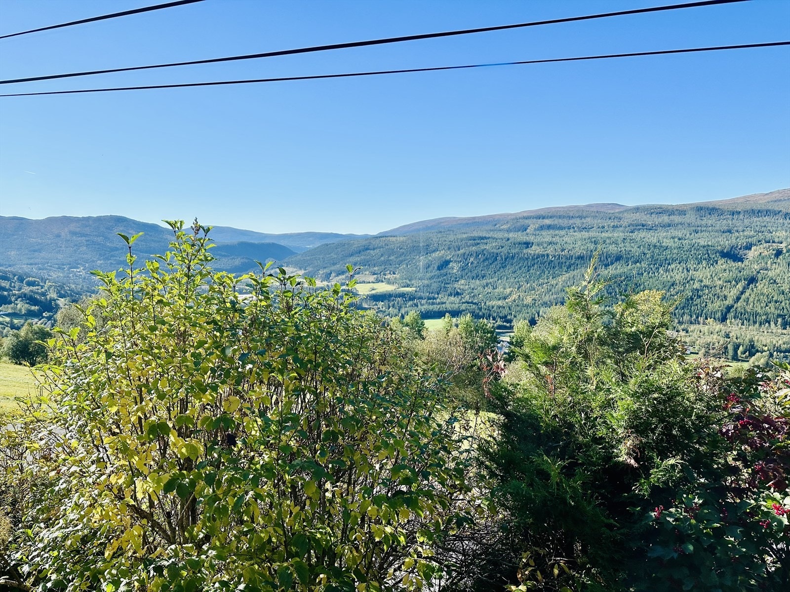 IMG_0030.jpeg Galleribilde