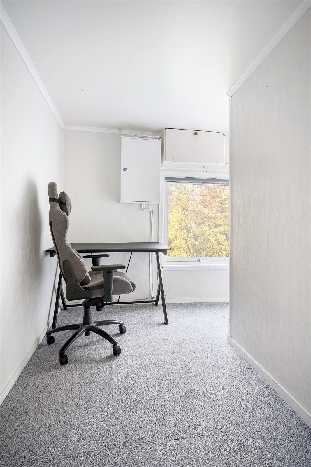 12549947_24-328-17_photo_print.jpg Galleribilde