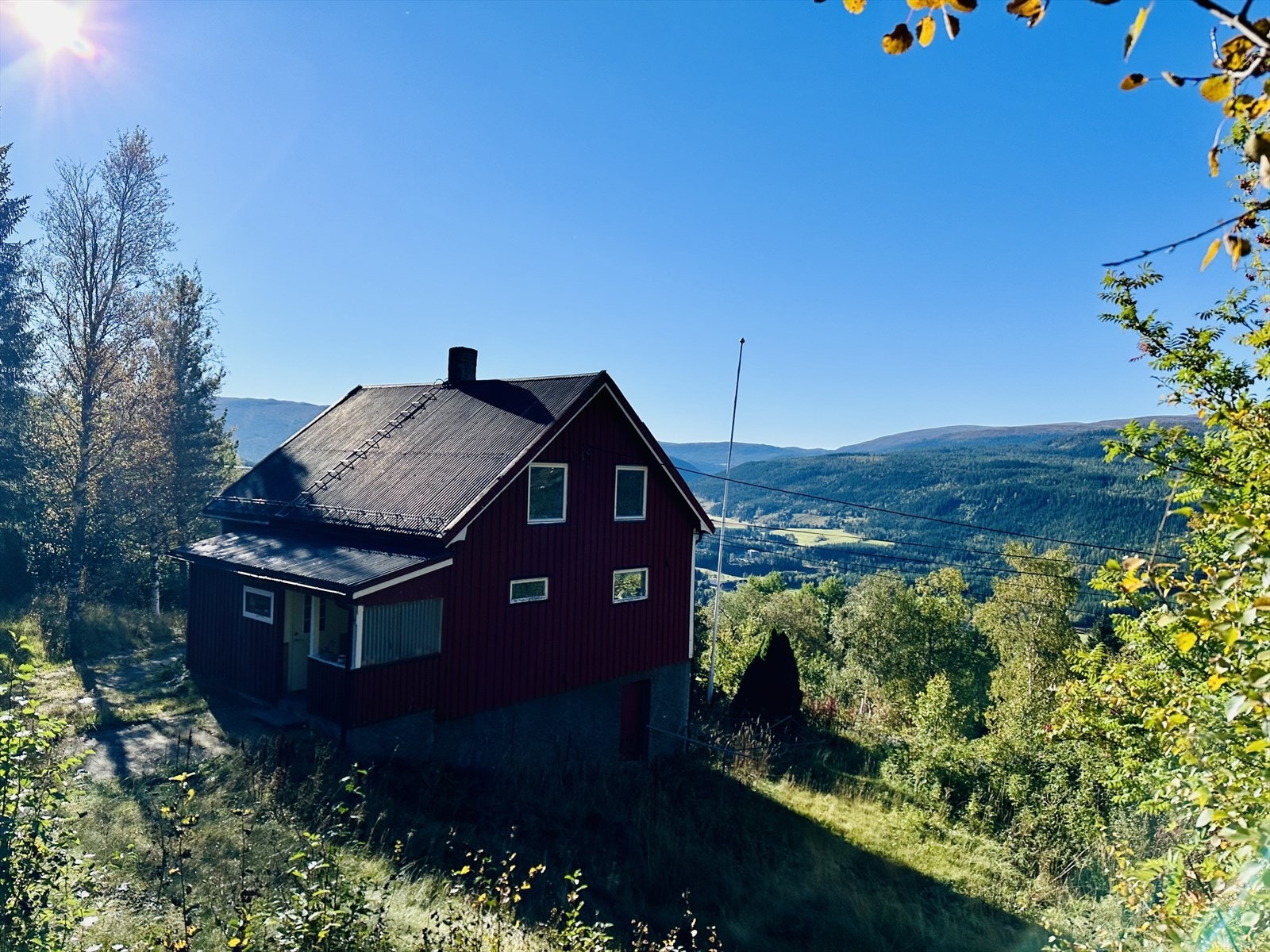 IMG_0036.jpeg Galleribilde