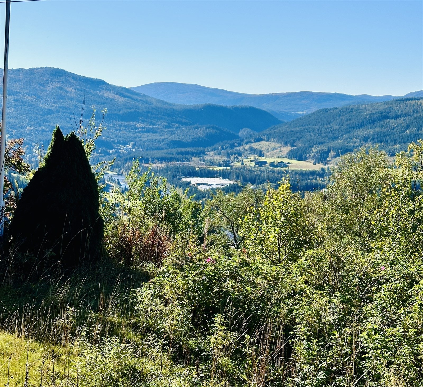 IMG_0031.jpeg Galleribilde