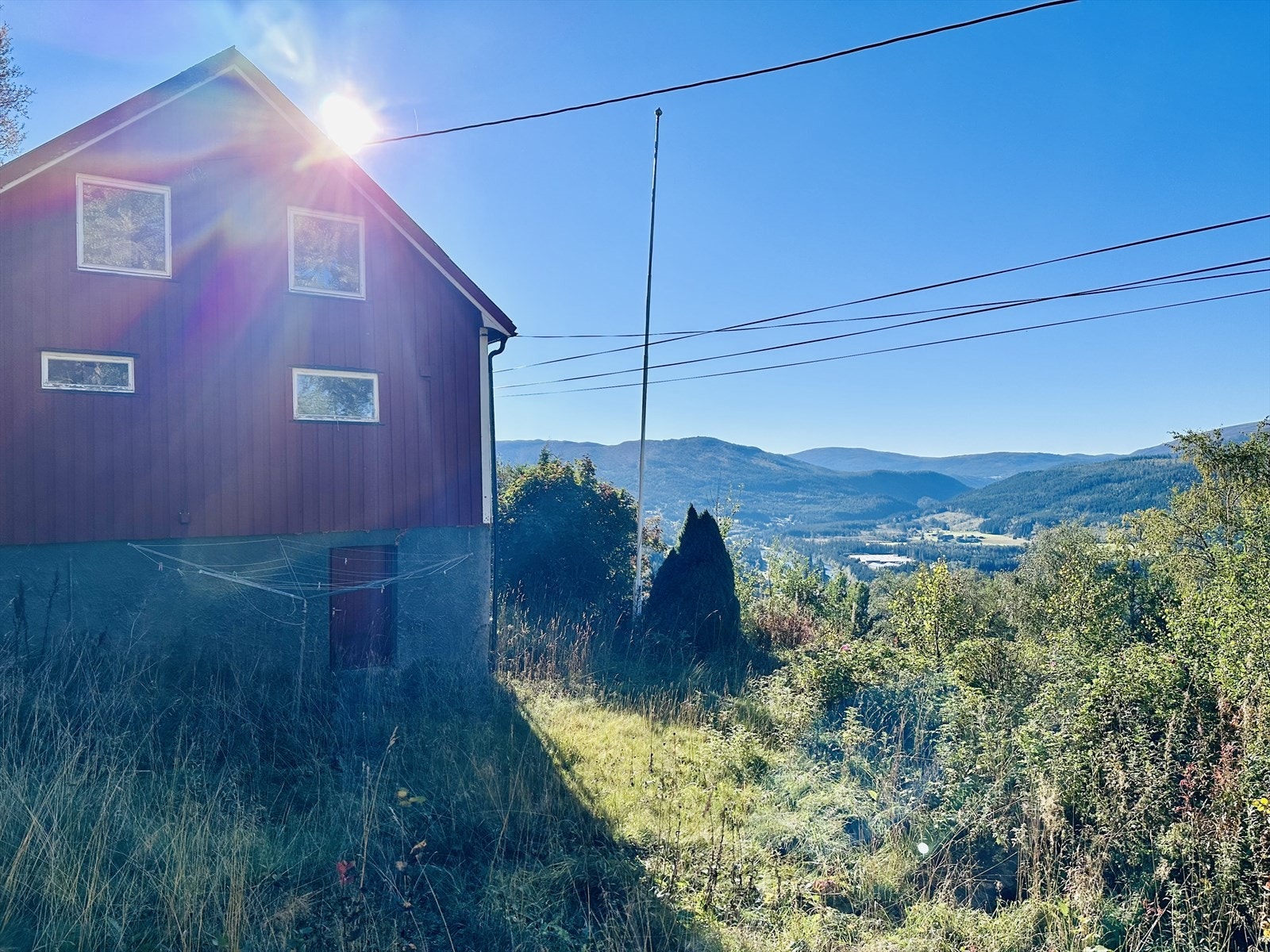 IMG_0037.jpeg Galleribilde