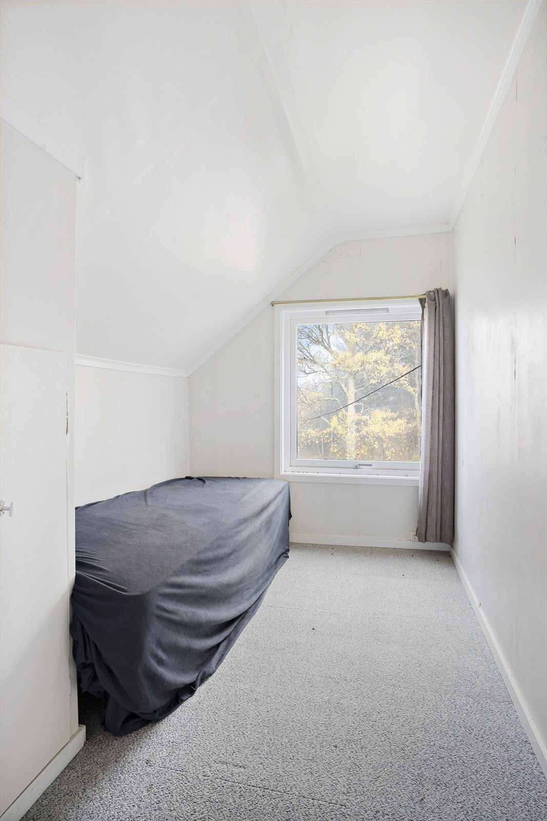 12549947_26-328-17_photo_print.jpg Galleribilde