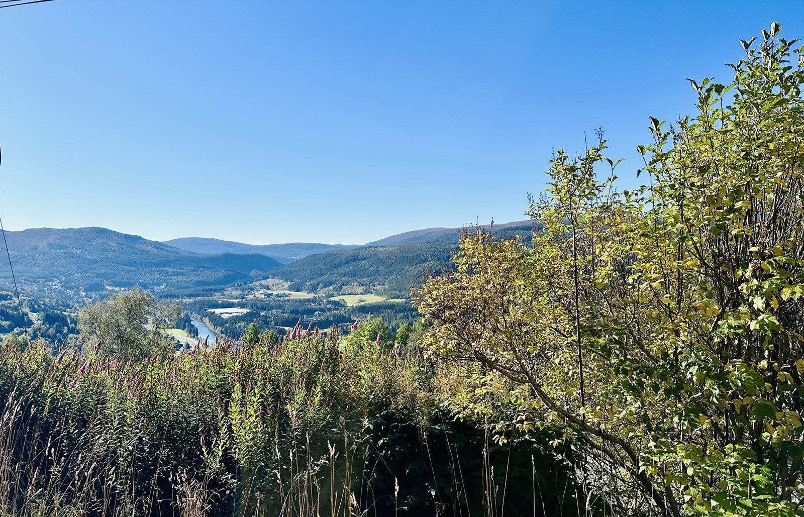 IMG_0032.jpeg Galleribilde