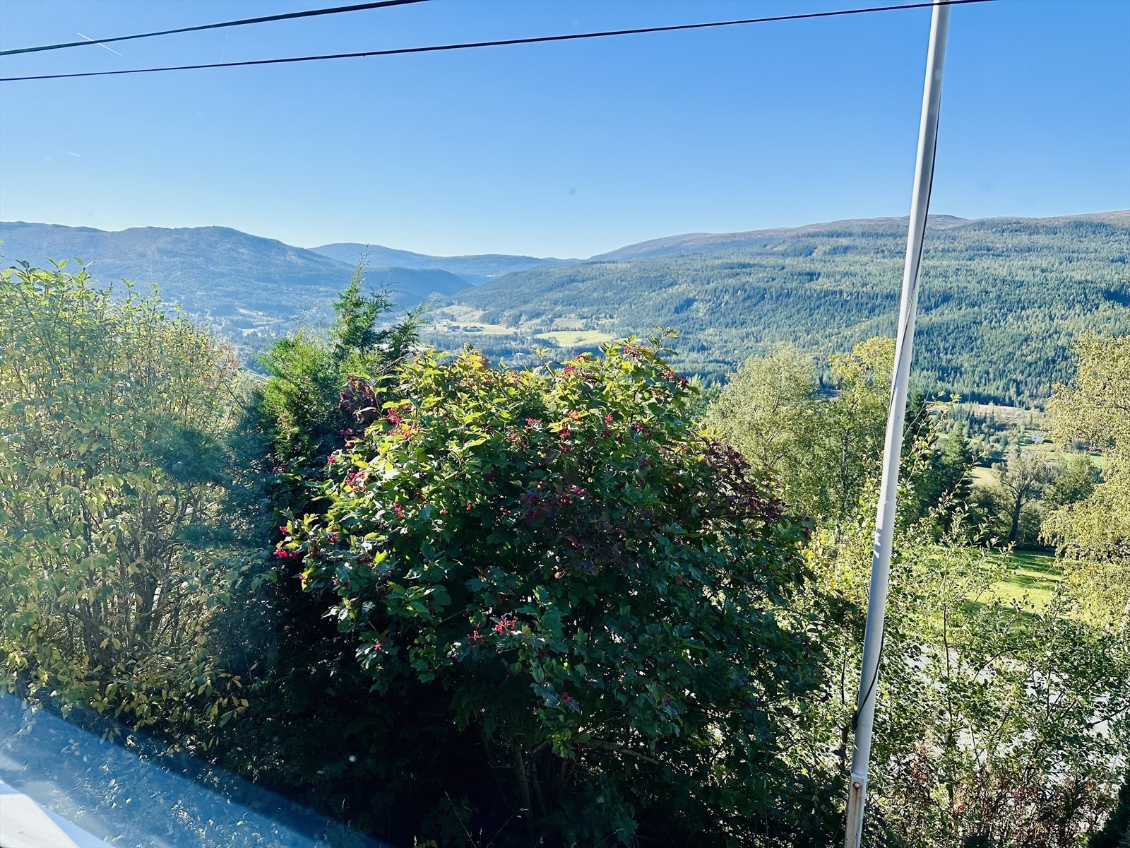 IMG_0027.jpeg Galleribilde