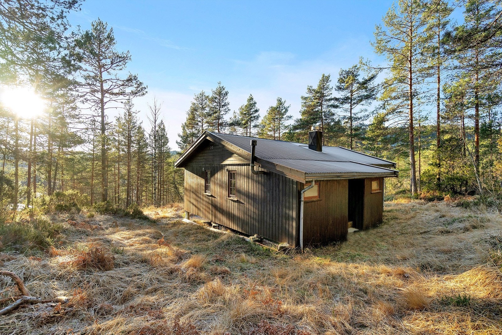 Flott turterreng like utenfor hyttedøra! Galleribilde