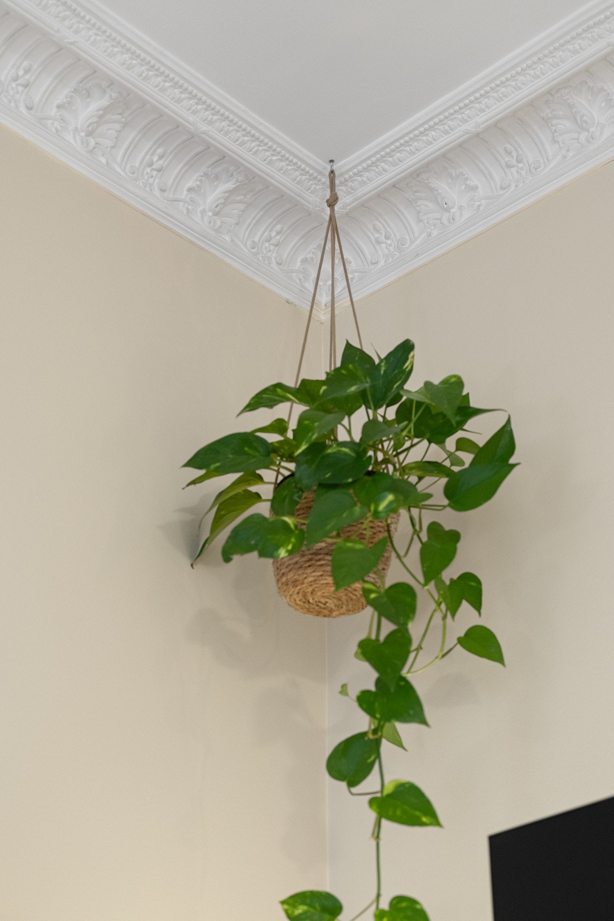 Fine, klassiske detaljer. Galleribilde