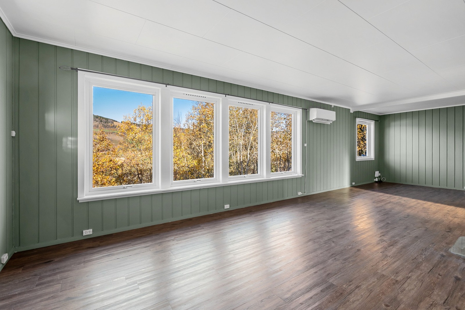 Store vinduer gir mye naturlig lys og utsikt mot trær og åser. Rommet er romslig med grønne panelvegger. Galleribilde