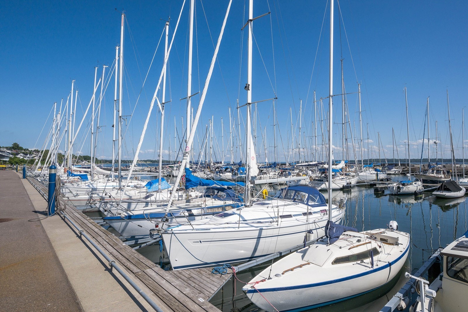 Nærområde Galleribilde