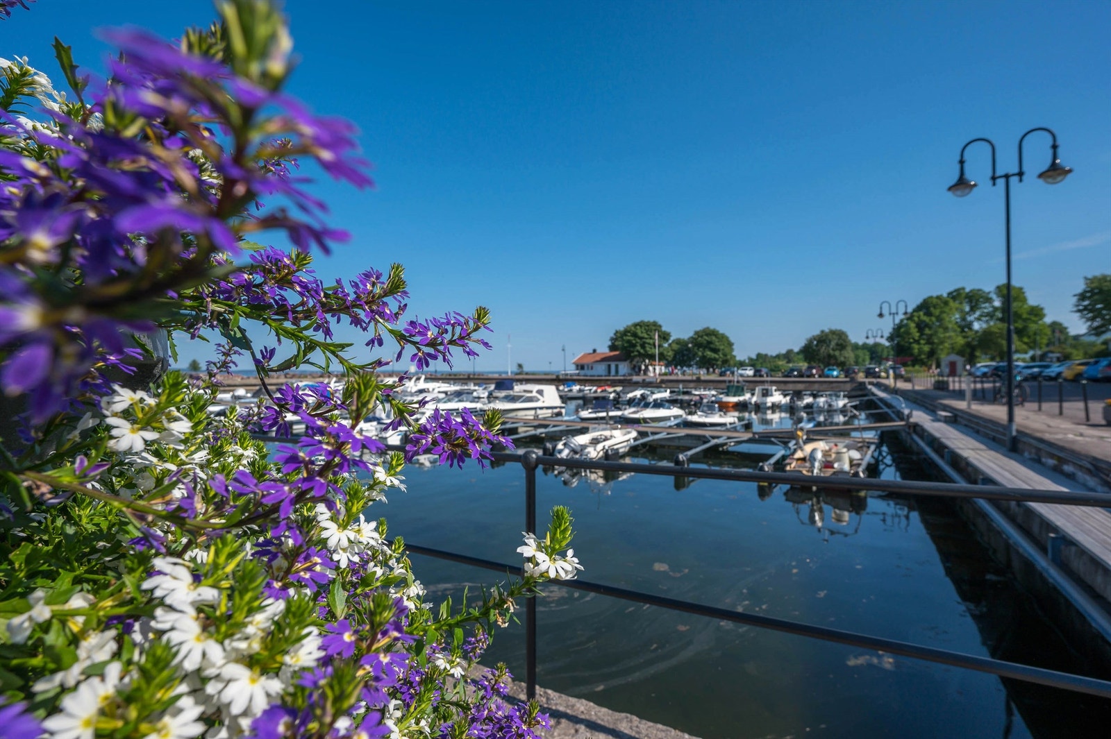 Nærområde Galleribilde