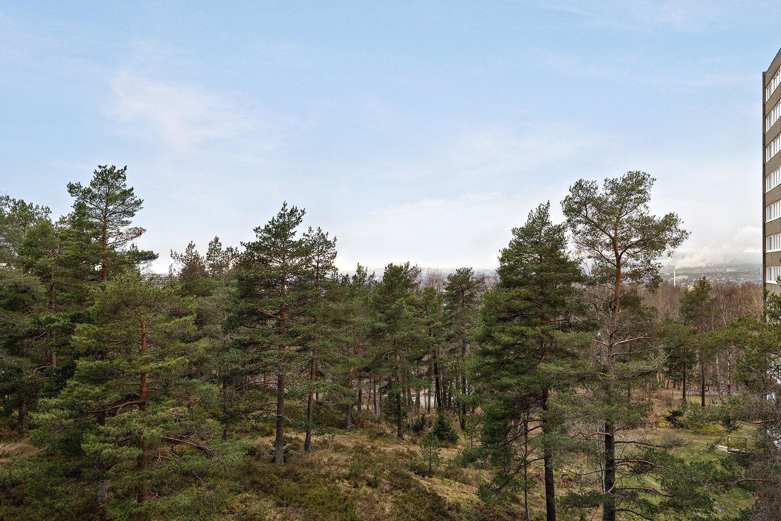 Utsikt fra balkong Galleribilde