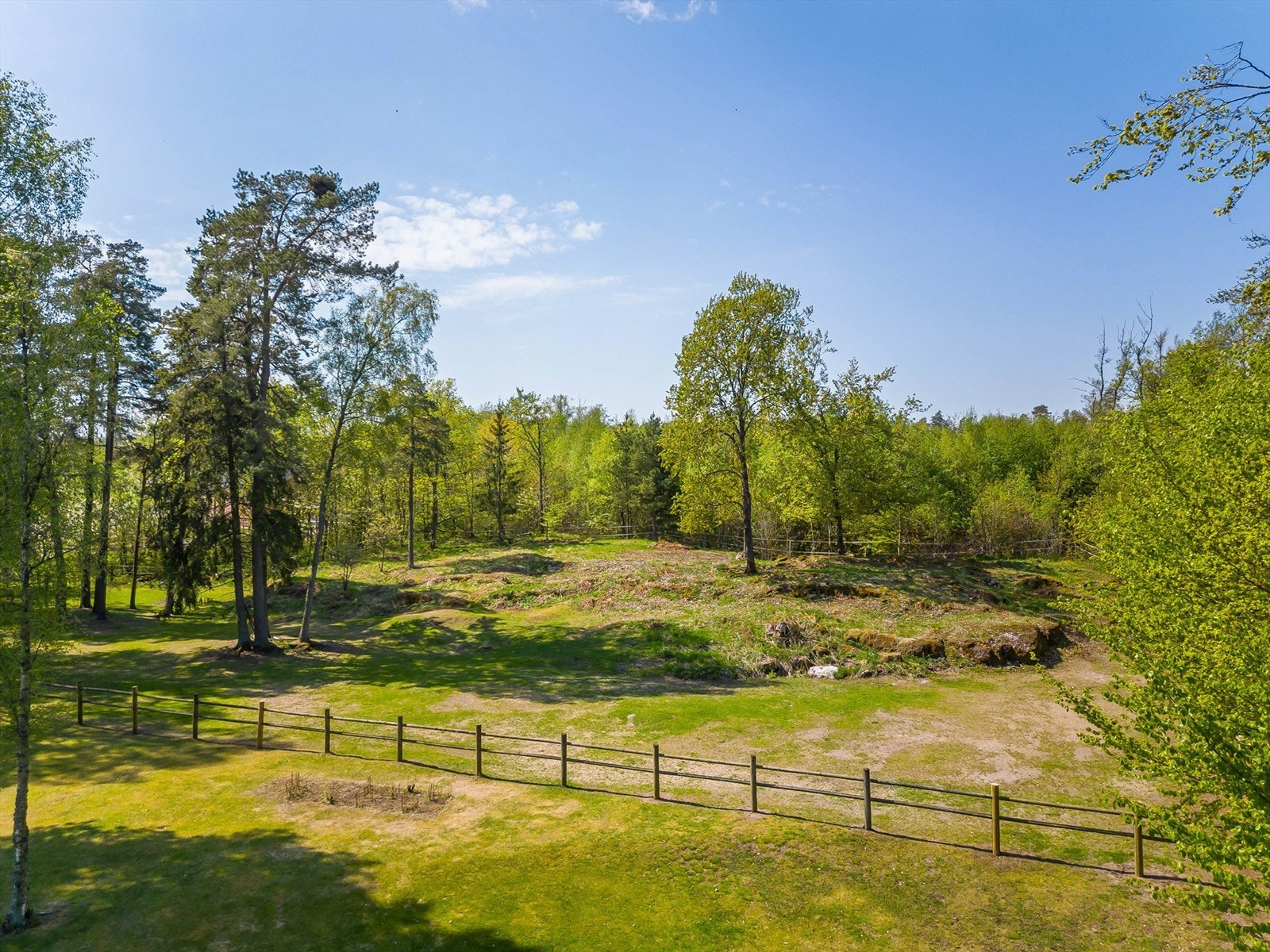 Beite til hestene Galleribilde