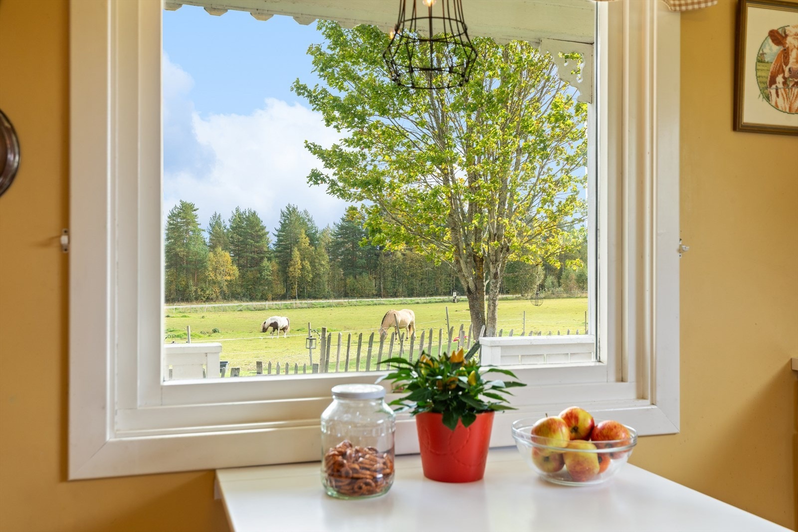 Mens du nyter dagens middag kan du nyte utsikten til jordet utenfor. Galleribilde