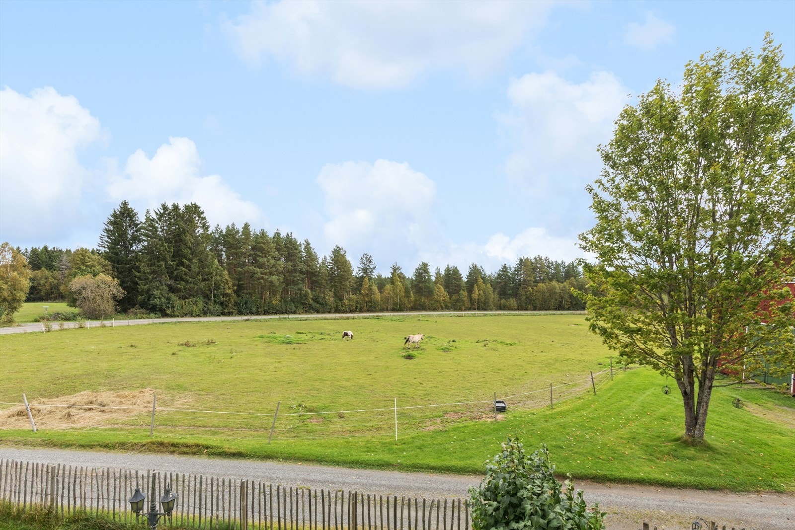 Landbrukstomt på 99 daa bestående av dyrket mark og uproduktiv skog/myr. Galleribilde