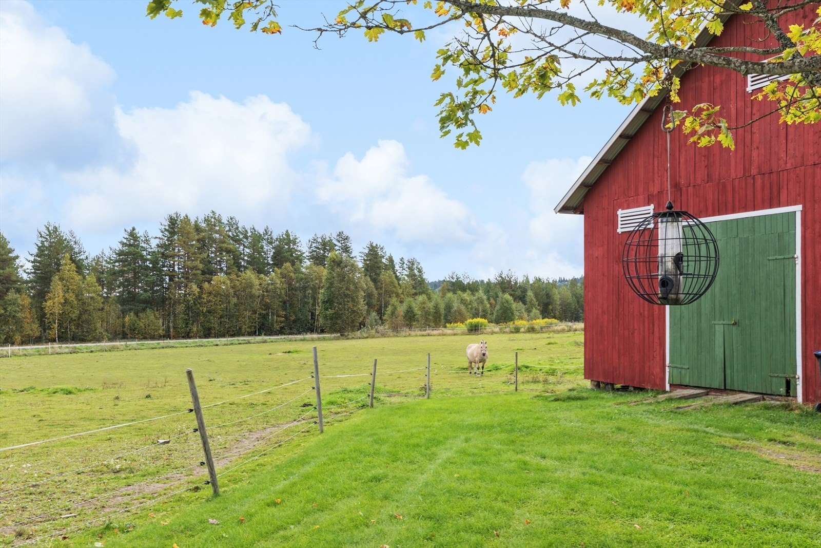 Her er det muligheter for f.eks hestehold! Galleribilde