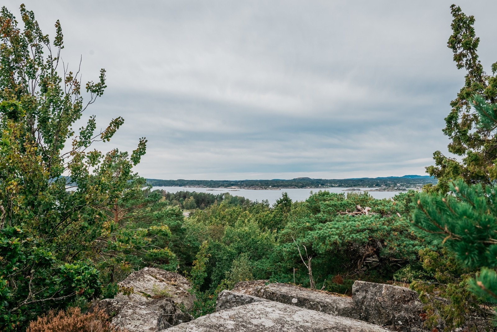 Utsikt fra tomten Galleribilde