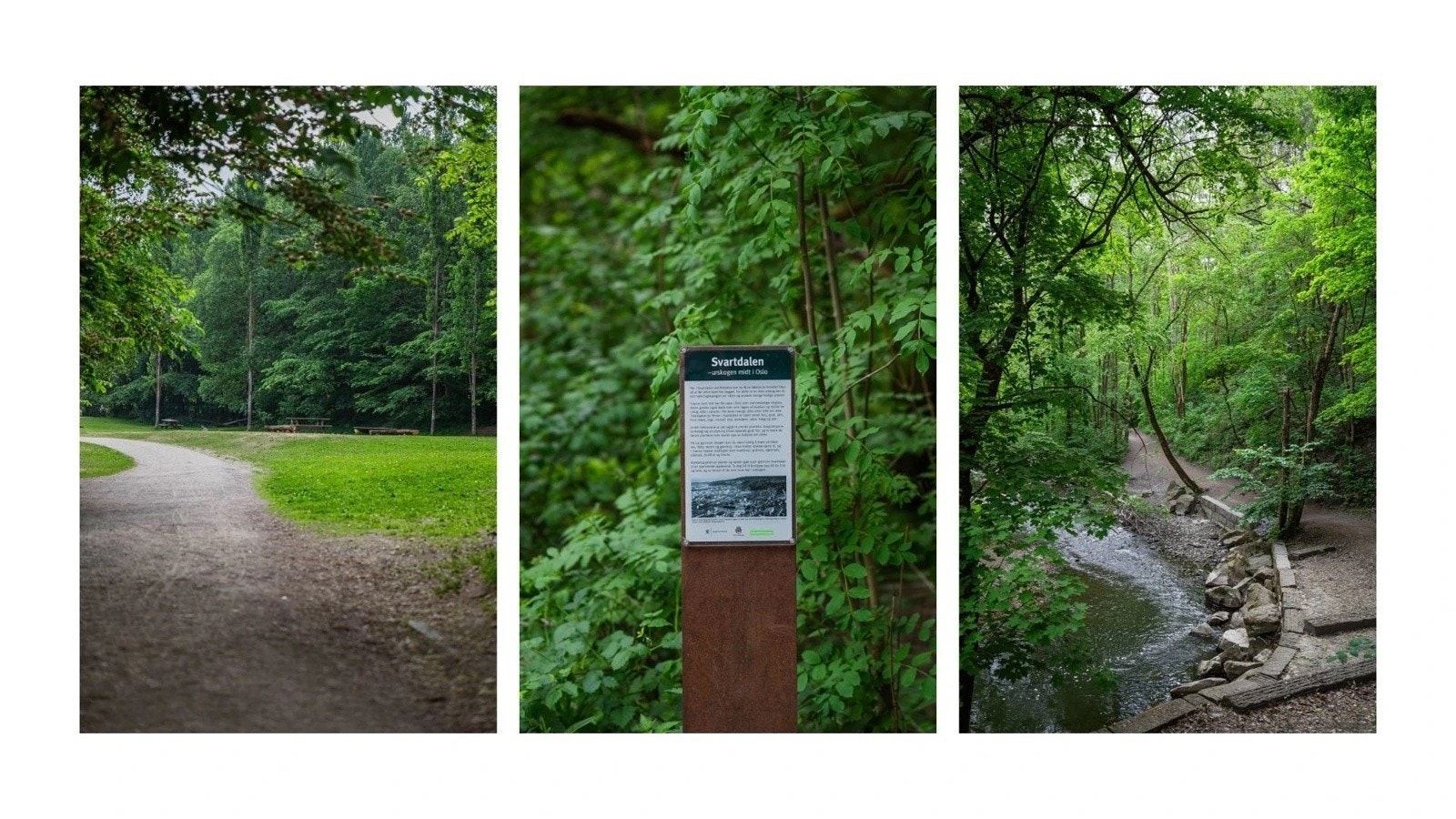 Fra leiligheten kan du på få minutter rusle inn i Svartdalsparken, et eventyrlig grøntområde med urskog, dyreliv og Alnaelva som bukter seg gjennom landskapet. (Foto: Linn Kristine Byre Johansen) Galleribilde