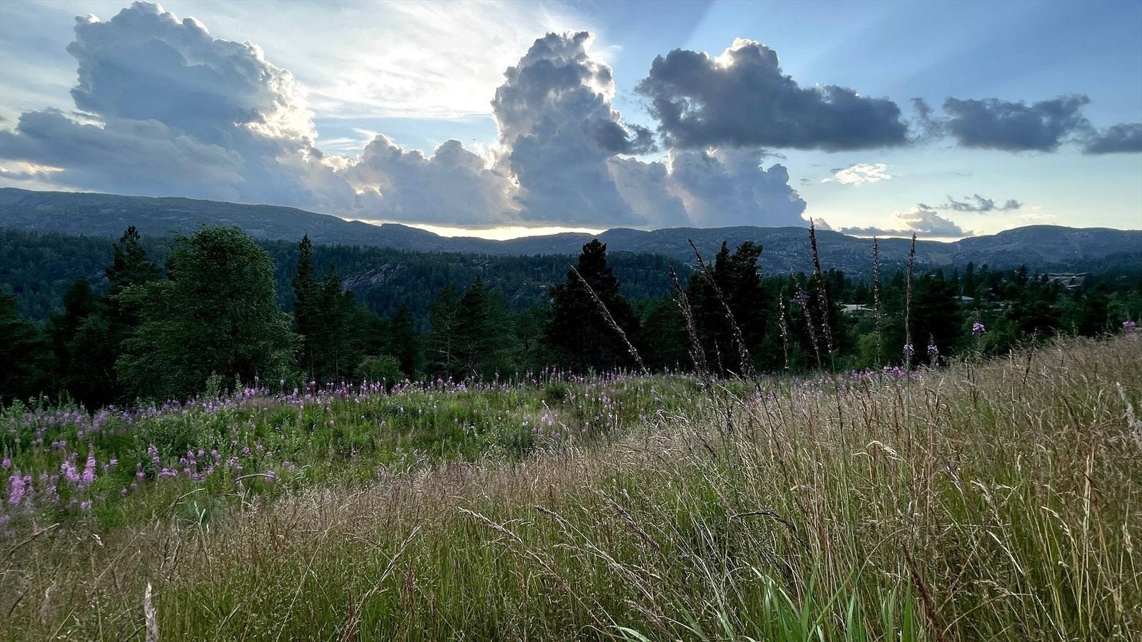 Nydelig utsikt over Bortelid og fjellene i vest Galleribilde
