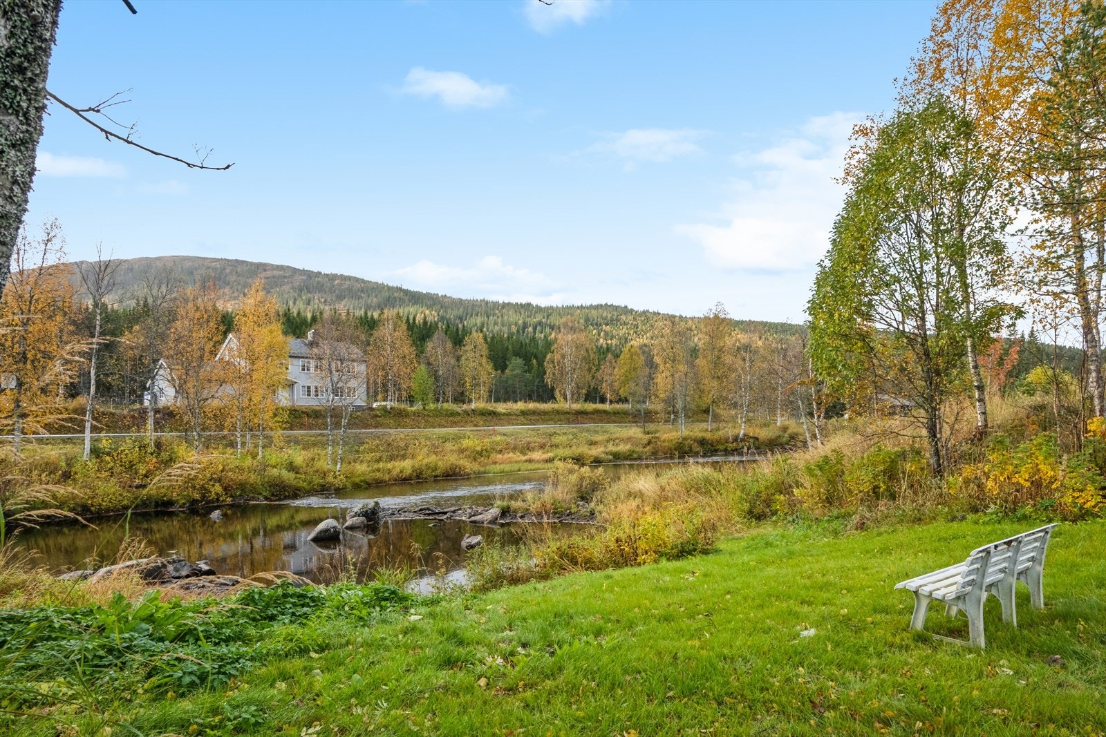 Hage som grenser ned til Elva Galleribilde