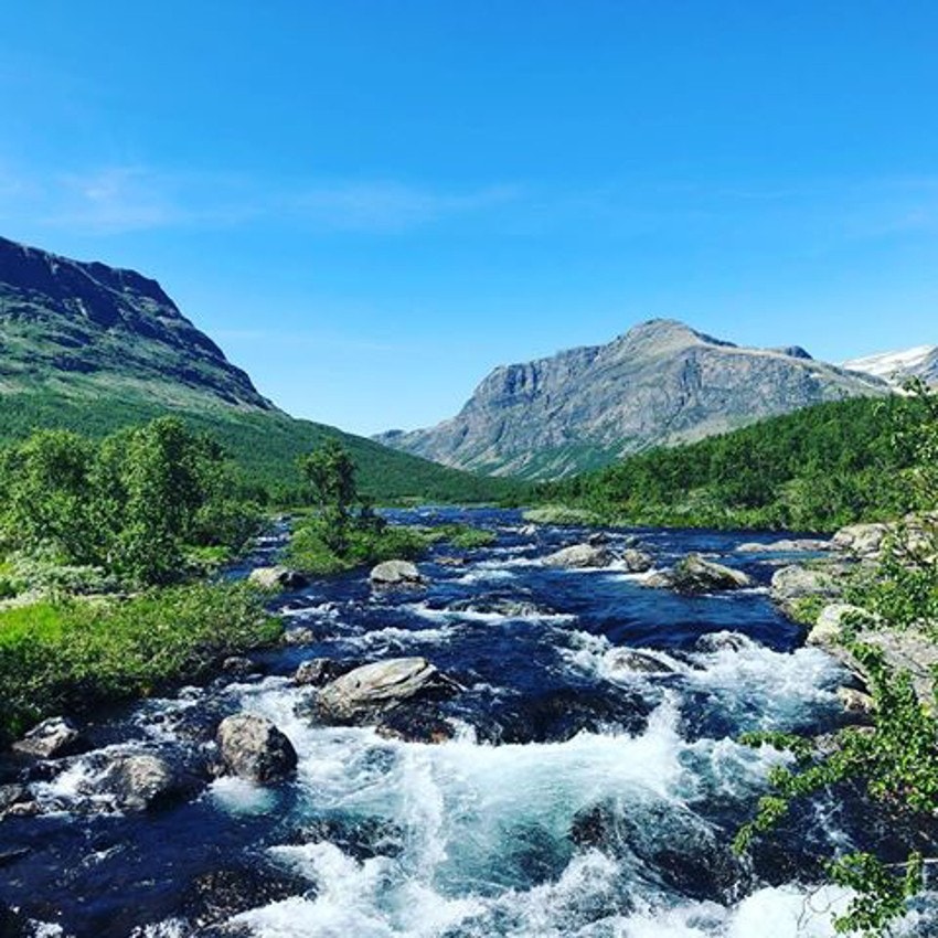 Vakkert på fjellet Galleribilde