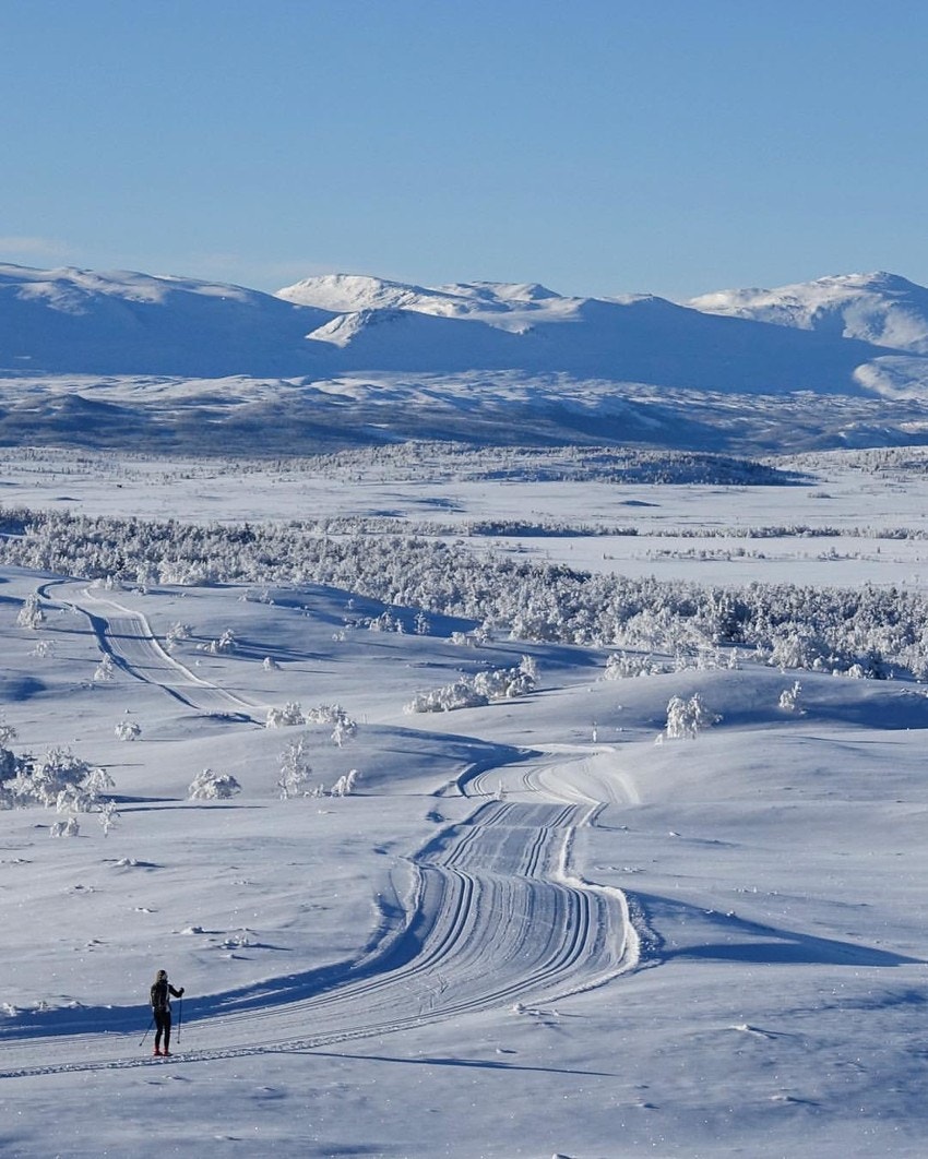 Et rikt turområde sommer som vinter om man vil på fotturer, sykkelturer, toppturer - skiturer, alpin og randonee på vinteren Galleribilde