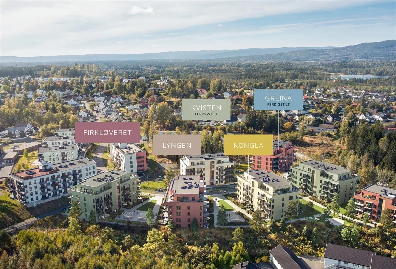 Oversikt over byggene. Galleribilde