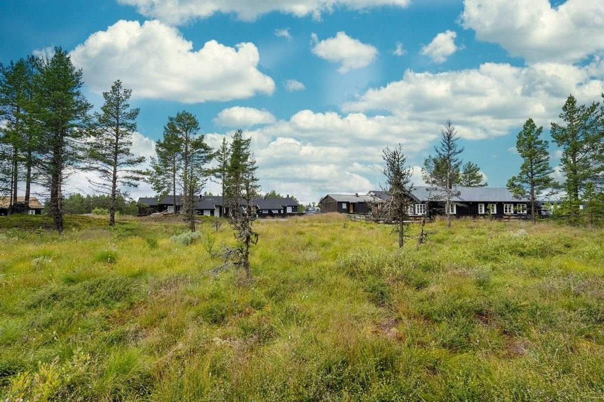 Solrikt beliggende på platået mellom Hallingdal og Valdres Galleribilde