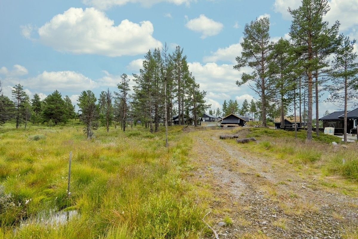 Tomten er relativt flat med fjell i dagen og myrlandskap Galleribilde