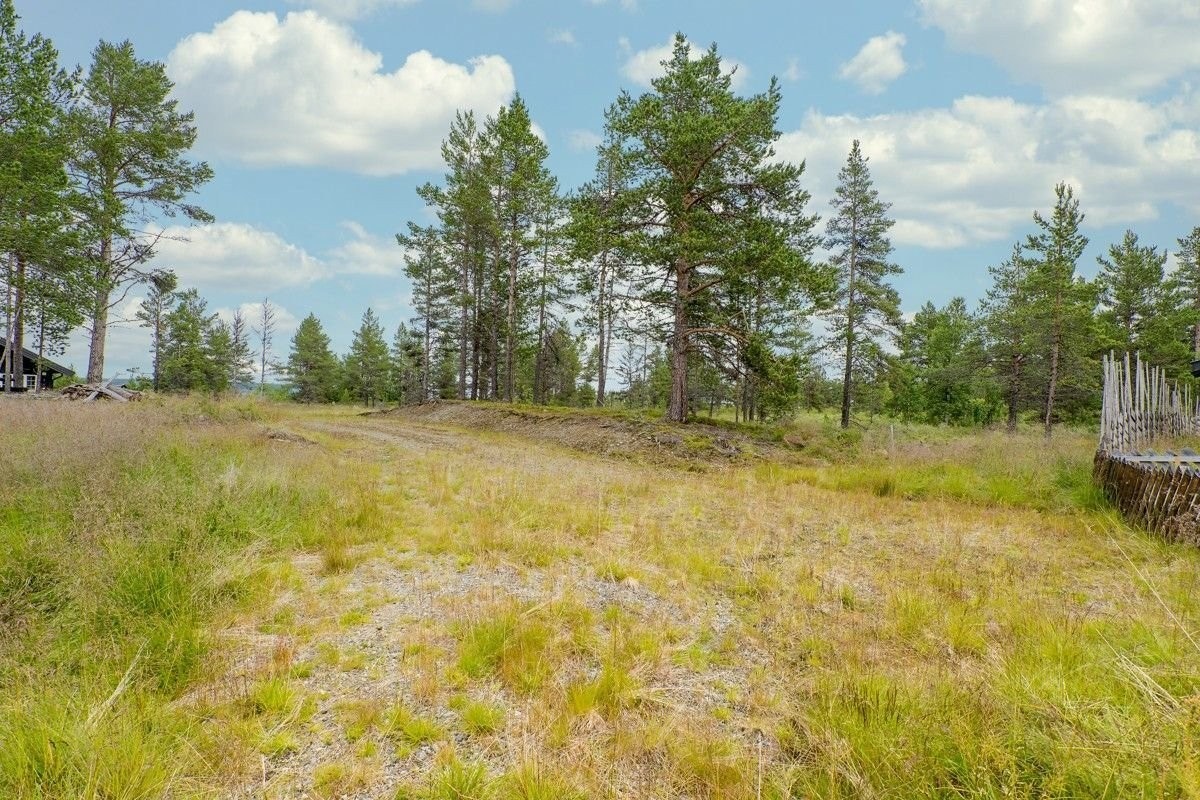 Lett bearbeidelig tomt Galleribilde