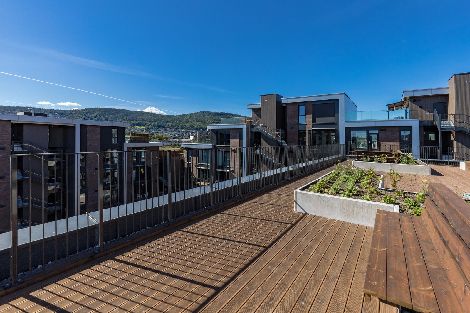 Solrike dager kan nytes på felles takterrasse. Galleribilde