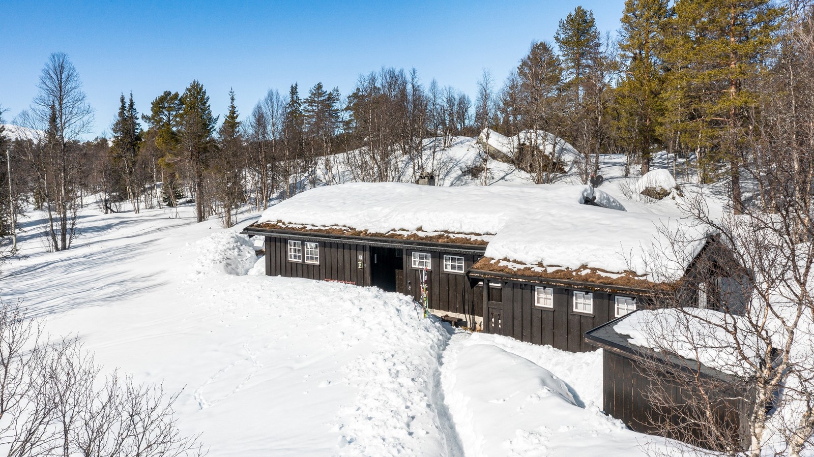 Romslig tomt på 1000 kvm som grenser til friområde i alle retninger. Sørvendt plassering i terrenget og gode solforhold Galleribilde