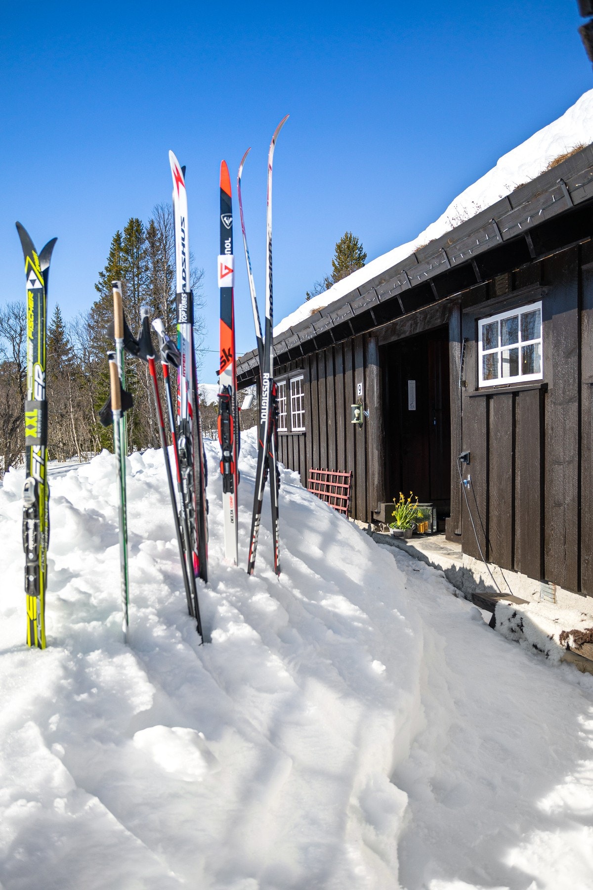 Idyllisk område som må oppleves. Her kan man virkelig senke skuldrene og nyte roen, samtidig som fart og spenning kun er få minutter gange eller stavtak unna Galleribilde