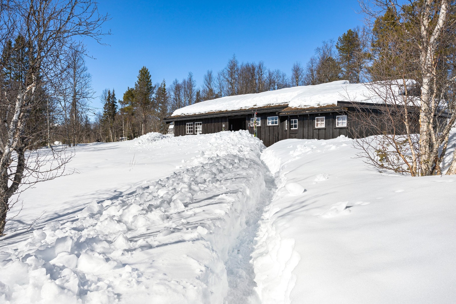 Idyllisk og naturskjønt samtidig som at man har alle fasiliteter i umiddelbar nærhet - Det beste av begge verdener Galleribilde