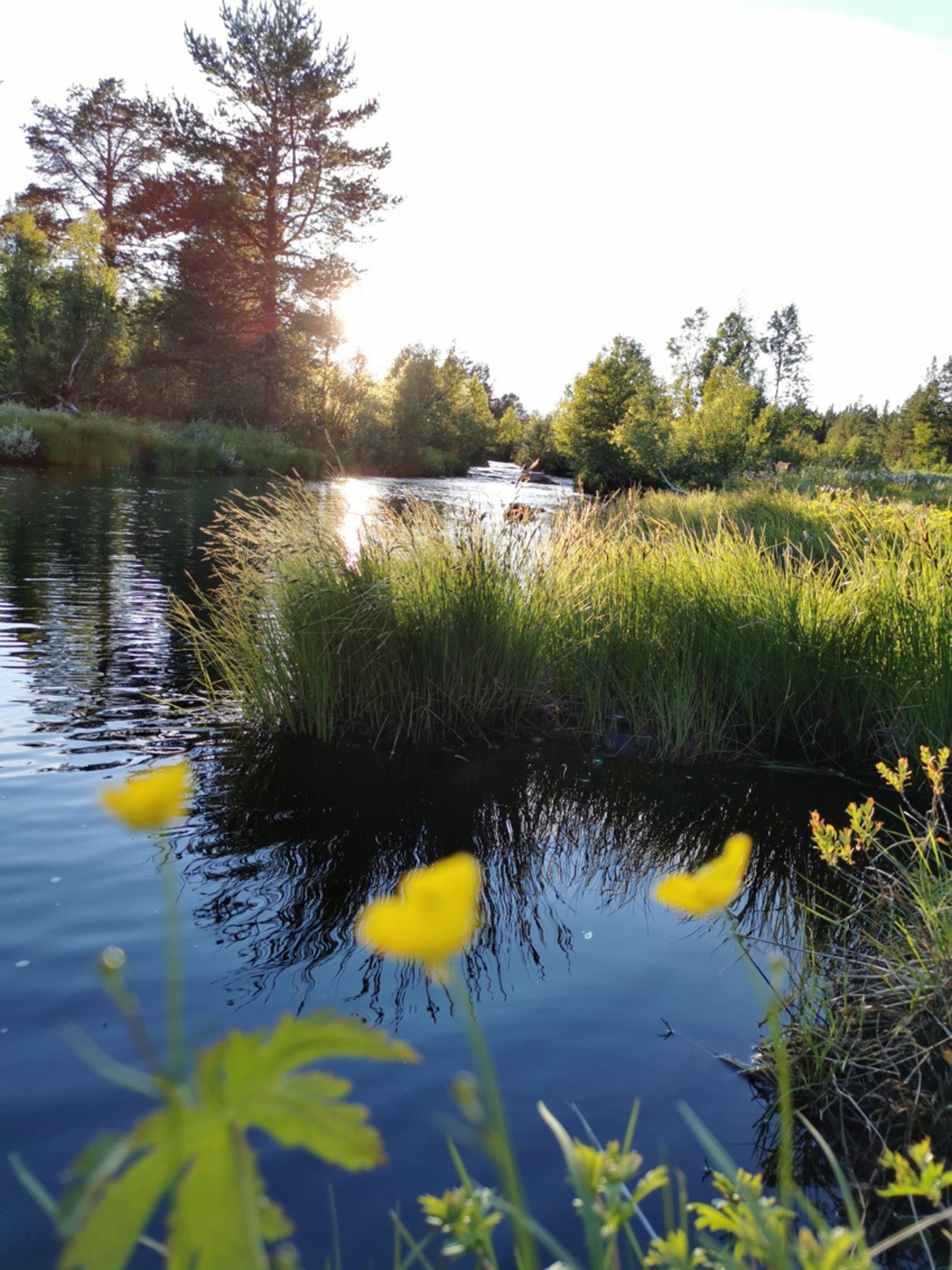 Sommer, vår og høst er det fantastiske omgivelser utenfor hytta Galleribilde