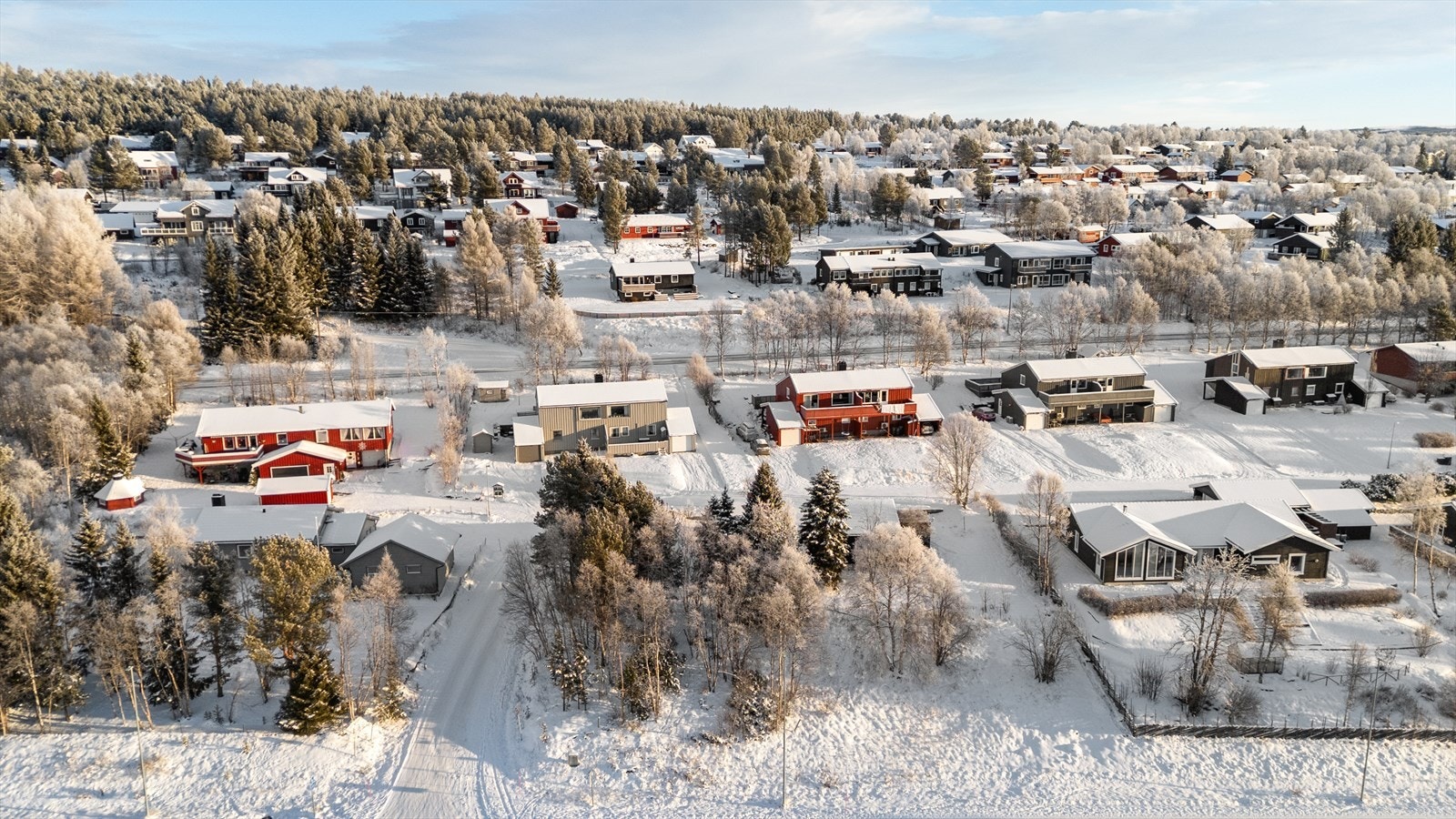 Boligen skjuler seg bak trærne. Legg merke til hvor romslig tomta er. Galleribilde