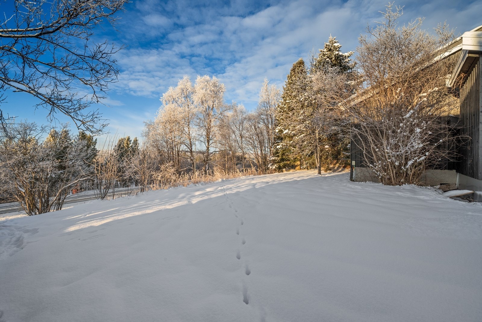 Uteområde. Galleribilde