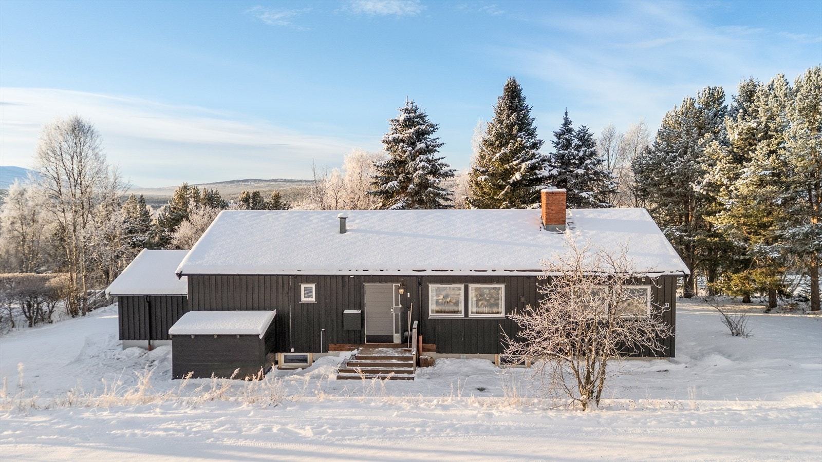 Fasade. Galleribilde