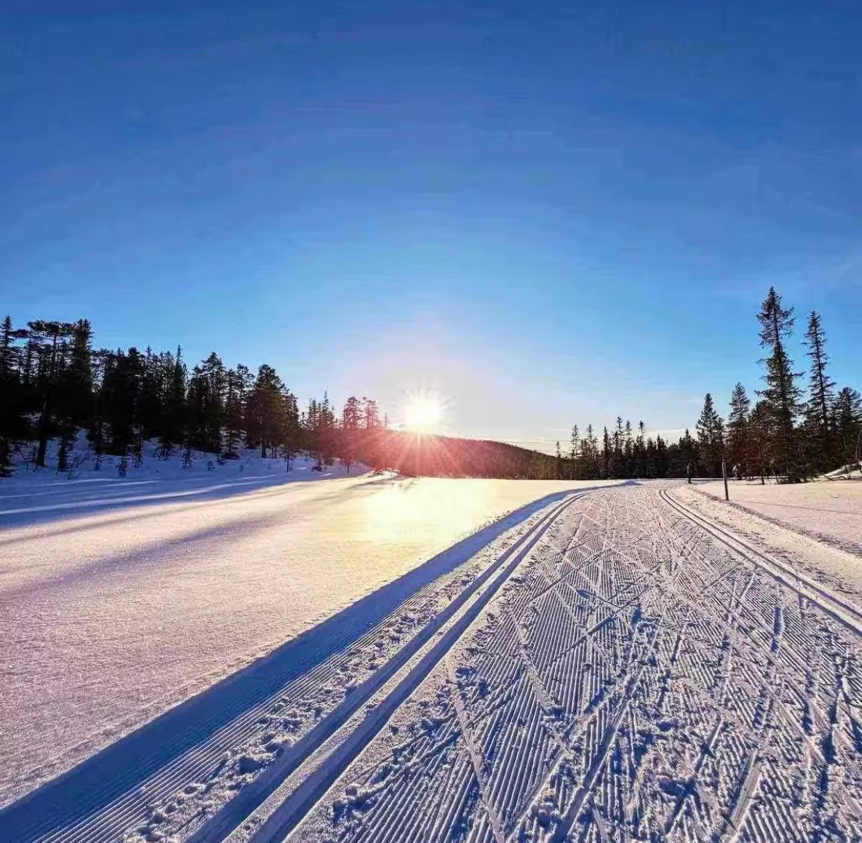 (Selgers private bilde) Galleribilde