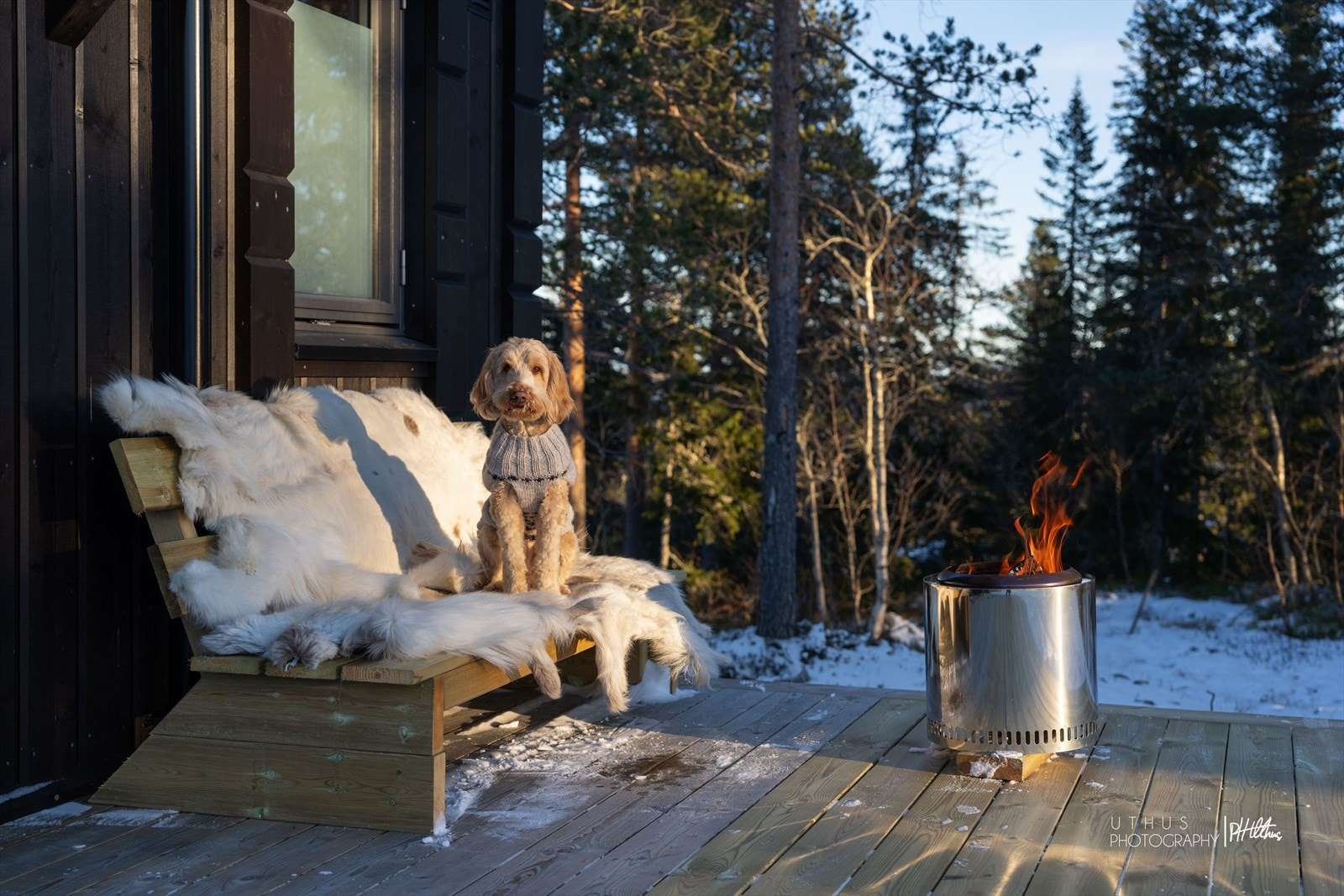 Platting både på fremsiden og baksiden av hytta. Til sammen 30 kvm. Galleribilde