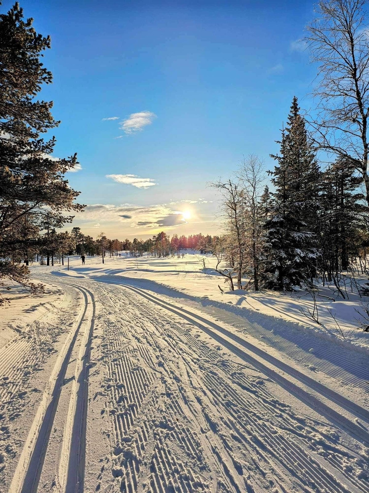 (Selgers private bilde) Galleribilde