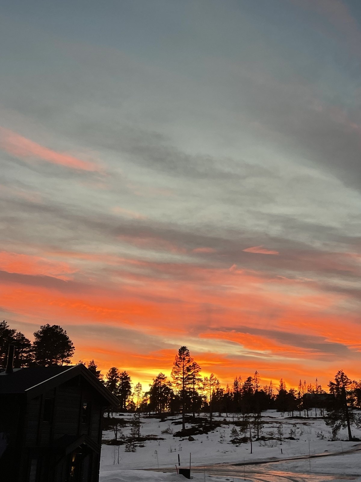 (Selgers private bilde) Galleribilde