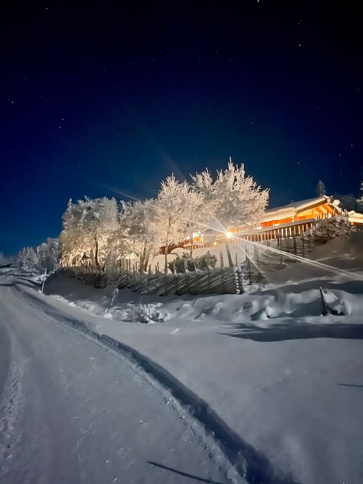 Selgers private bilde. Galleribilde