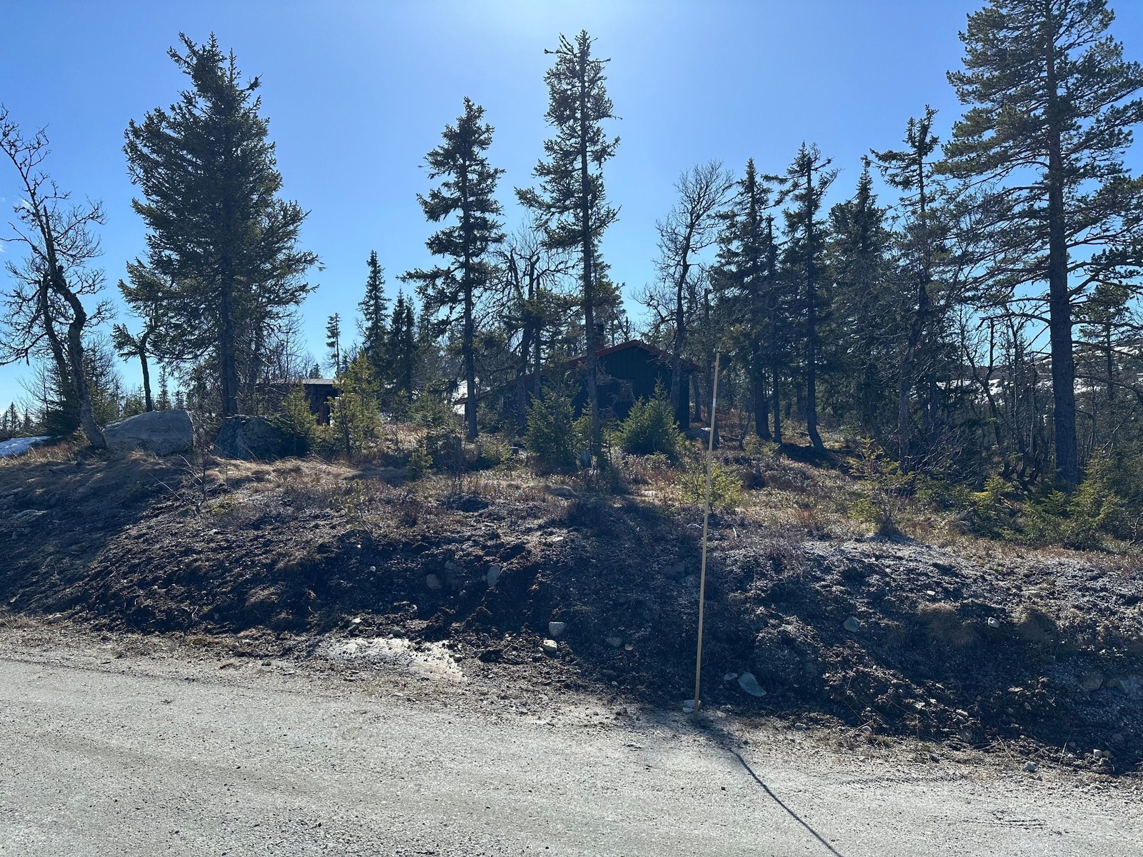 Hytte sett fra parkering høst. Galleribilde