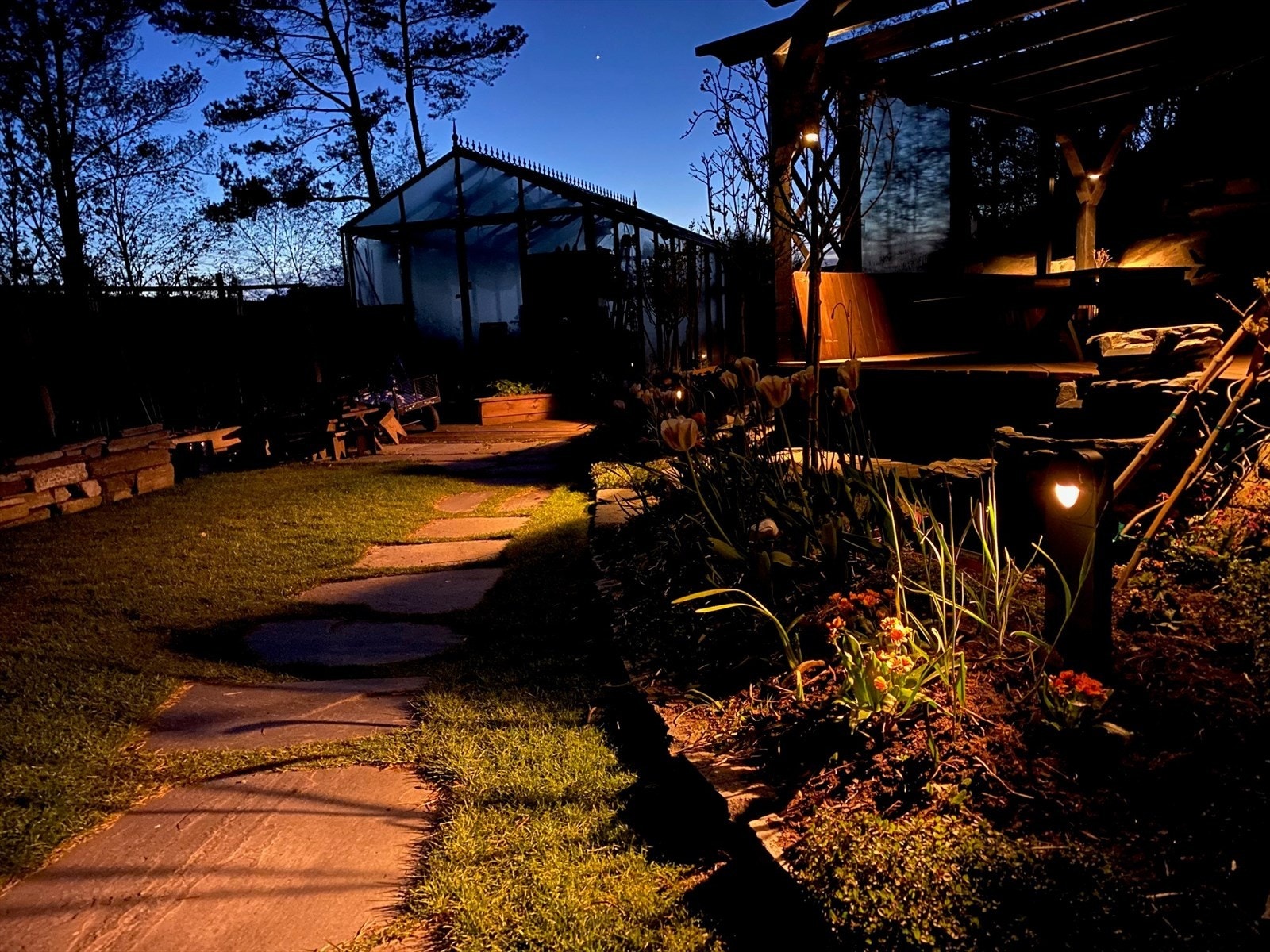 Kveldsbilde ute i hage.jpg Galleribilde