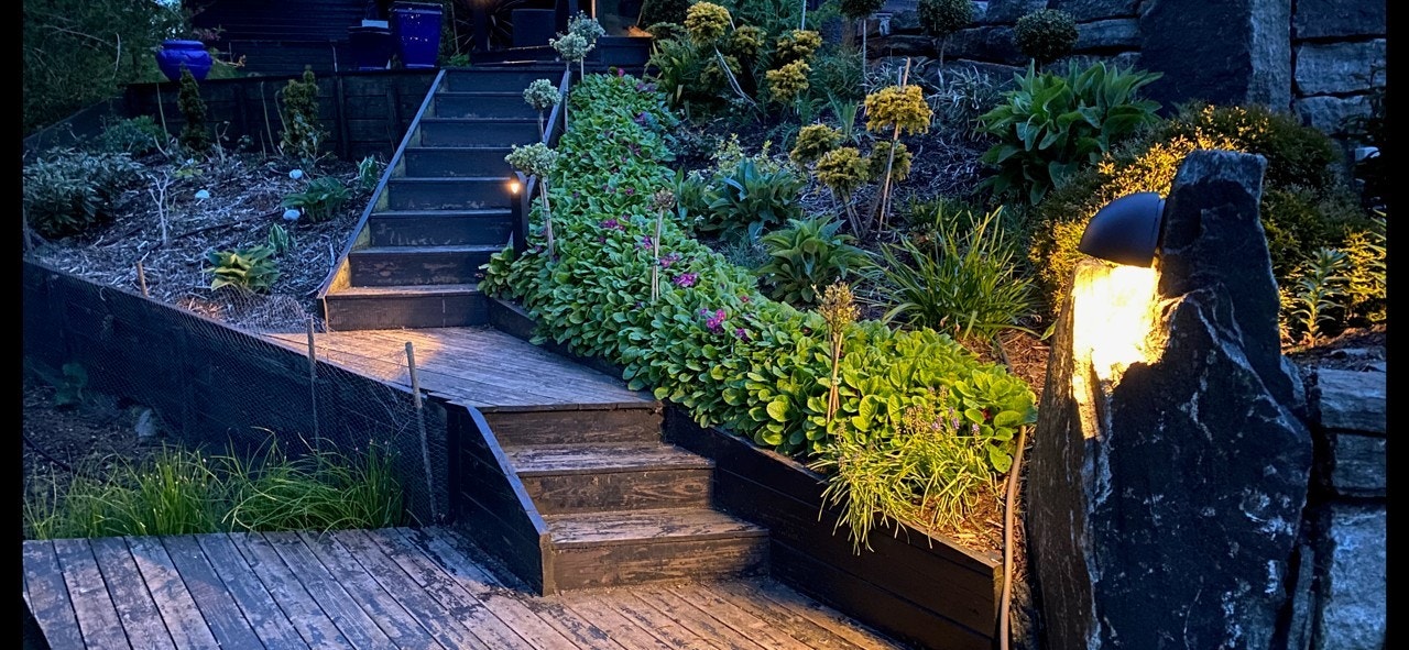 Kveldsbilde hagedel.jpg Galleribilde