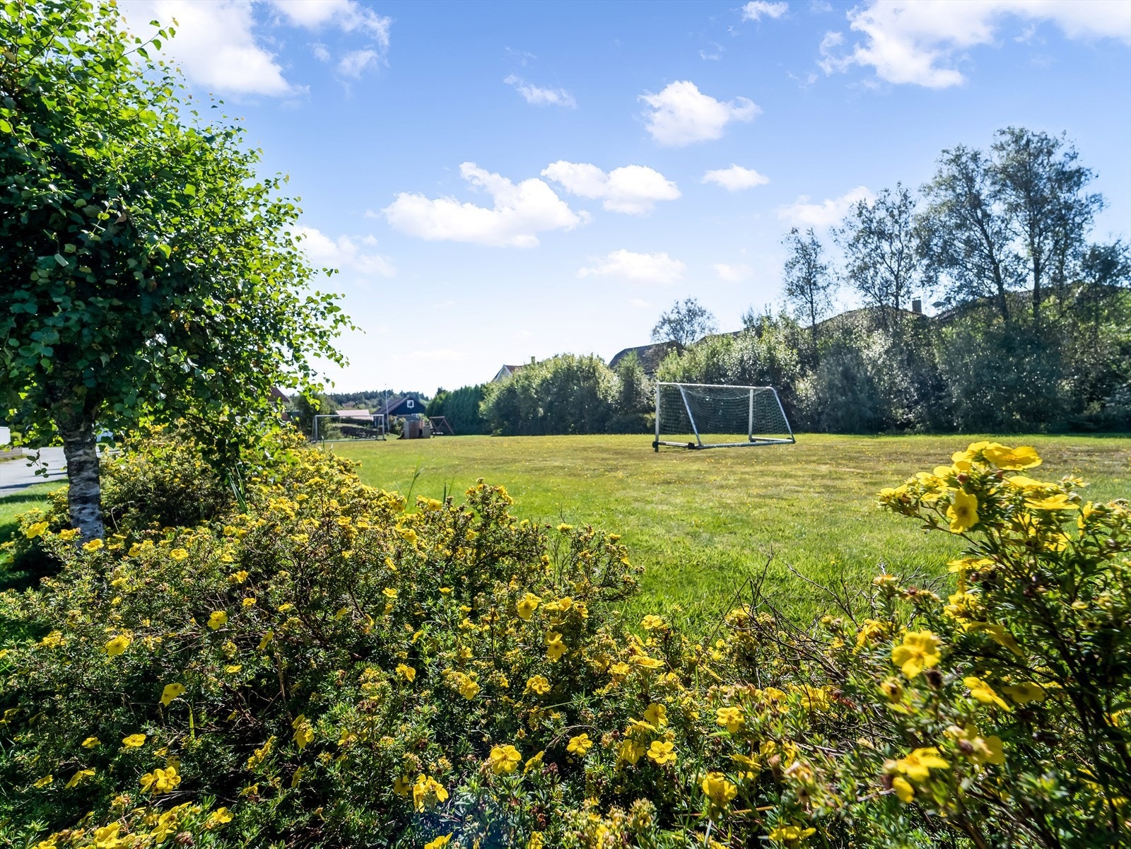 Nærområde Galleribilde