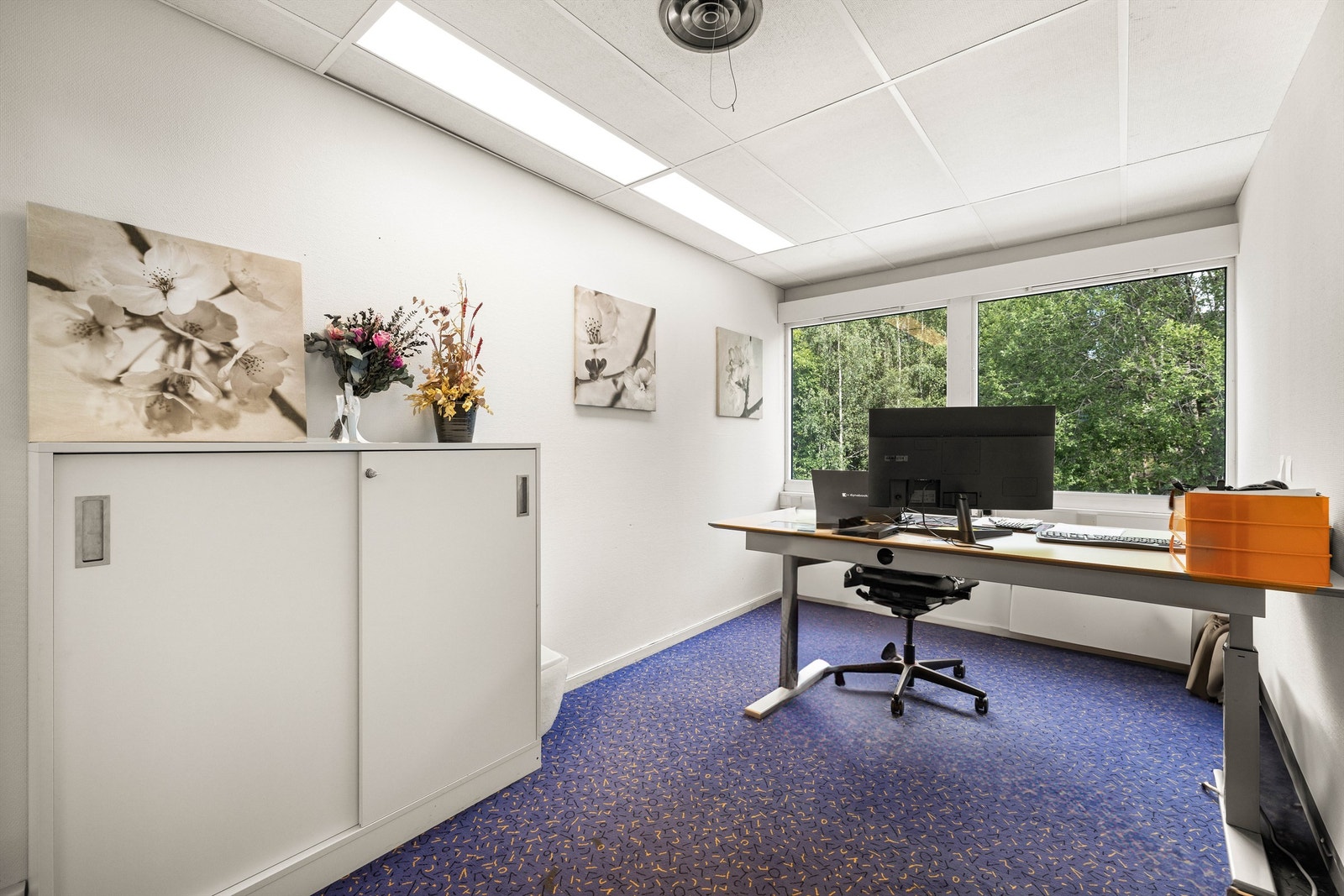 Cellekontor med god plass, og store vindusflater Galleribilde