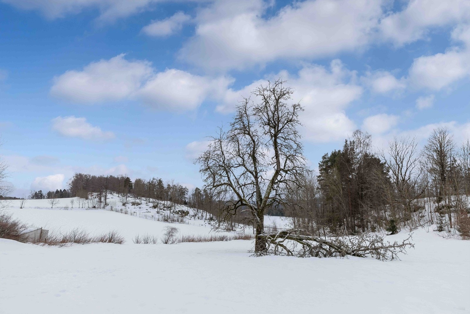 087.jpg Galleribilde