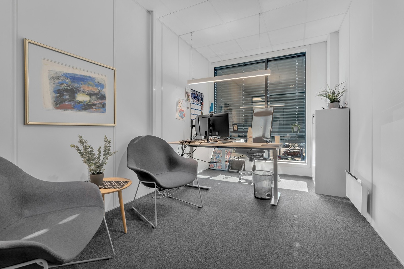 Bilder fra nabolokalet - eksempel på standard Galleribilde