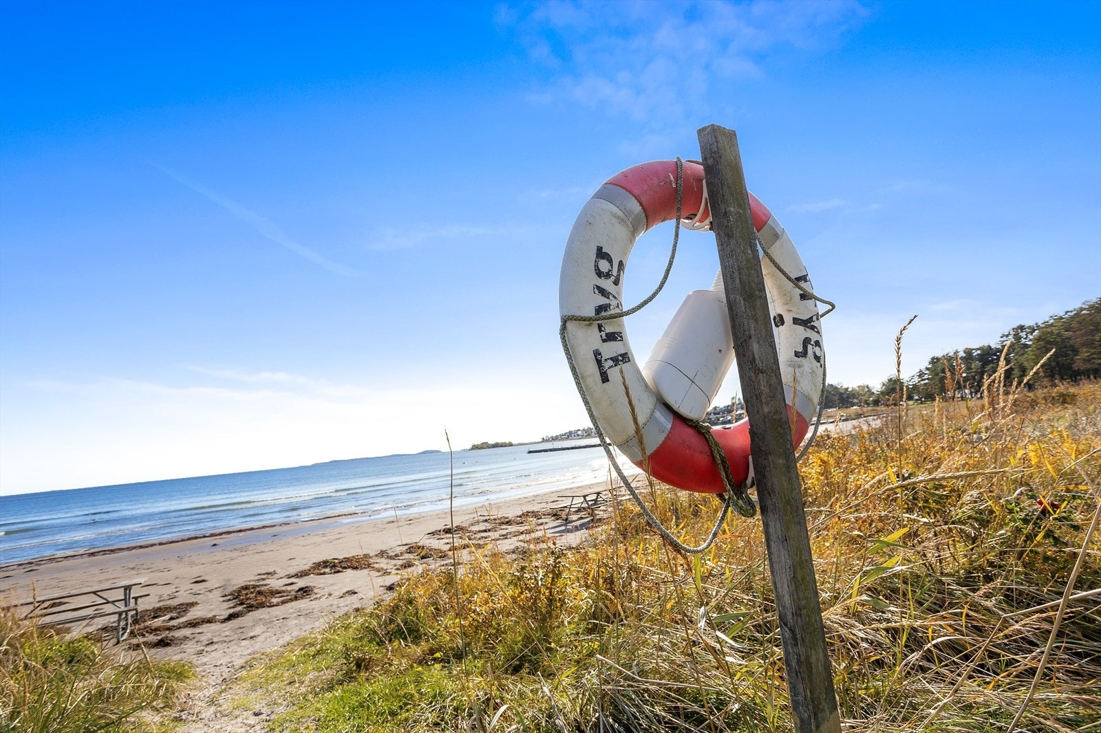 Skallevoldstranden Galleribilde