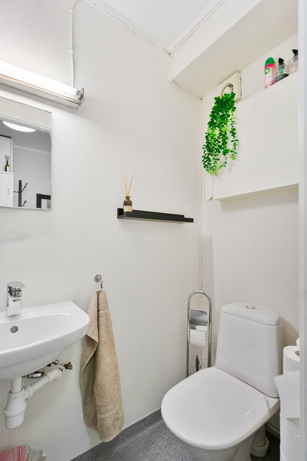 Toalettrom Galleribilde